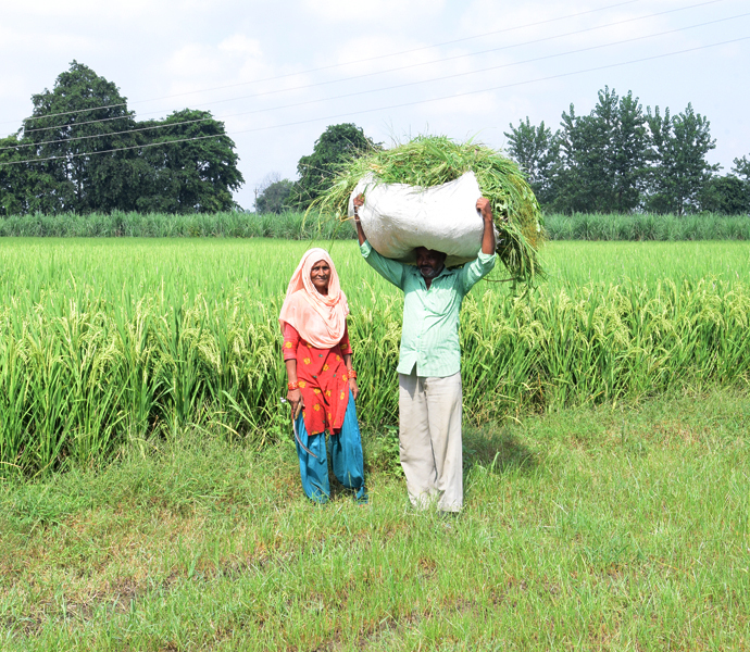 LAS2239 PVL content aug thumbnail 690 X600