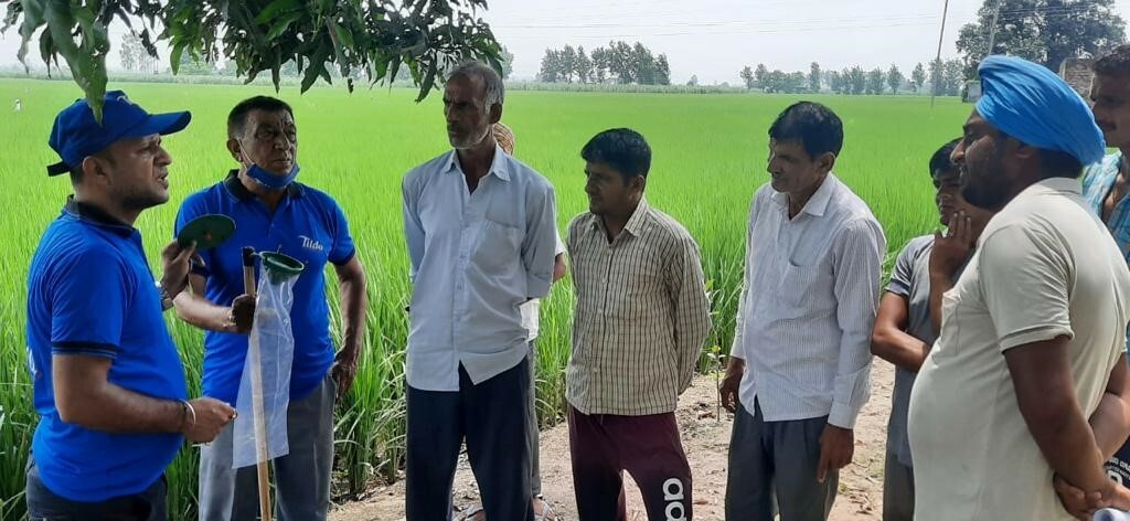 Training farmers Pheromone traps